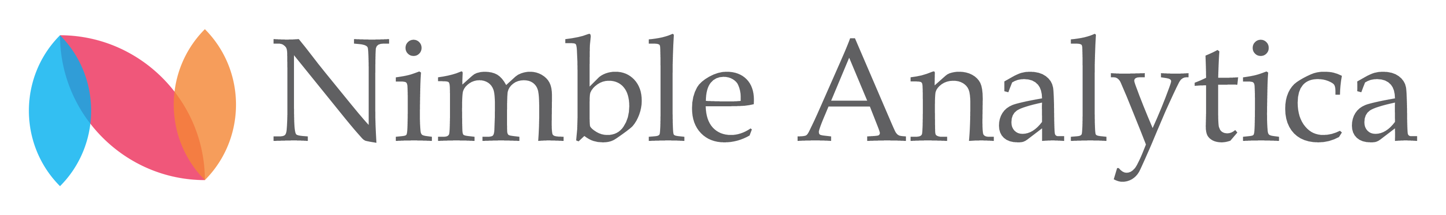 Nimble Analytica Logo